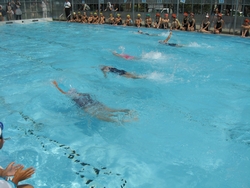 校内水泳大会