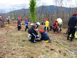 東日本大震災復興植樹