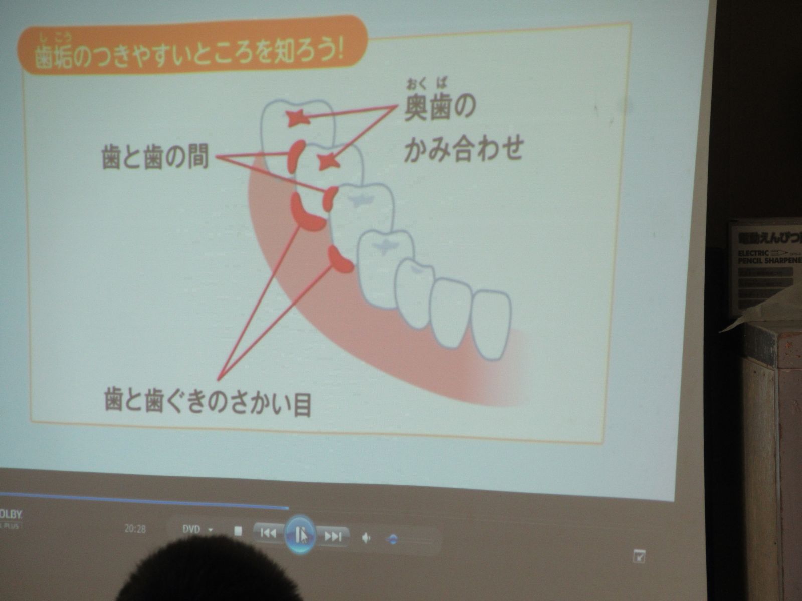 歯磨きしっかりできているかな 八戸市立高館小学校